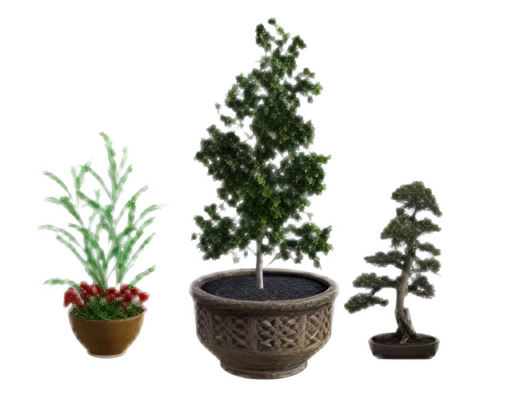 File:PottedPlants.png