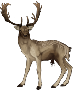 A deer stag