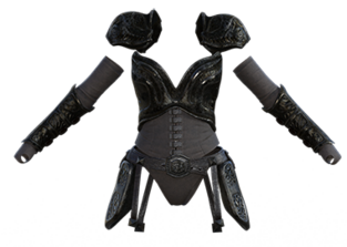 Heavy leather armor (upper; feminine)